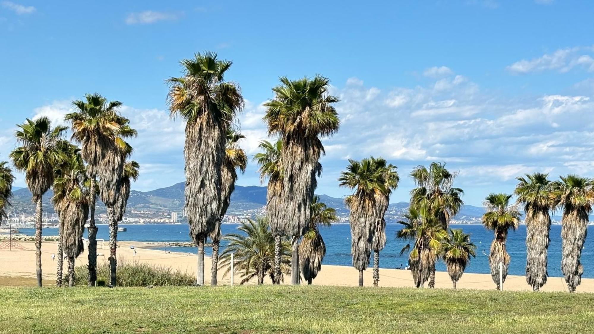 Torre Forum Διαμέρισμα Sant Adria de Besos Εξωτερικό φωτογραφία